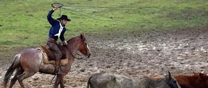 Ein Gaucho bei der Arbeit.