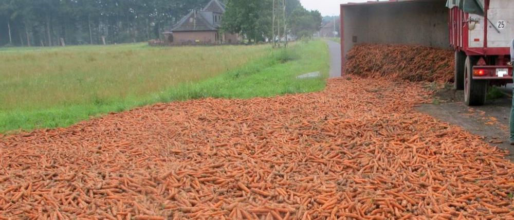 Möhren liegen am Montag in Nettetal (Nordrhein-Westfalen) auf der Straße. Der Fahrer des Traktors hatte die Kontrolle über sein Gespann verloren, der mit Möhren beladene Anhänger kippte um und bedeckte die Landstraße mit einem Möhrenteppich.