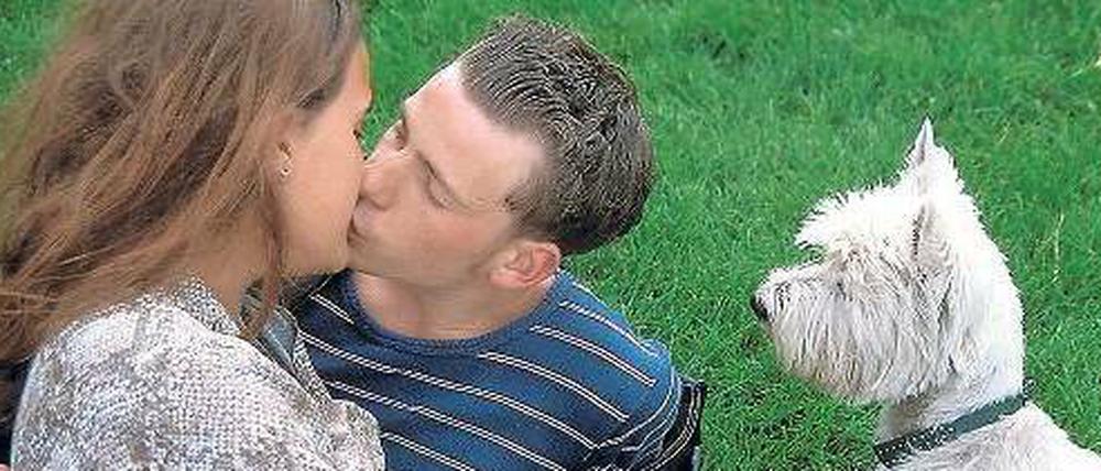 Anstandswauwau oder Konkurrent? Tiere fühlen auch Eifersucht.