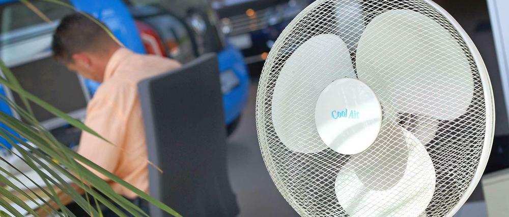 Ob der Ventilator an sein soll oder aus, darüber kann es schnell Streit geben.
