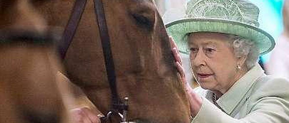 Die Queen und ihre Pferde sorgen für Gesprächsstoff. Eine königliche Stute wurde positiv getestet.