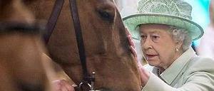 Die Queen und ihre Pferde sorgen für Gesprächsstoff. Eine königliche Stute wurde positiv getestet. 