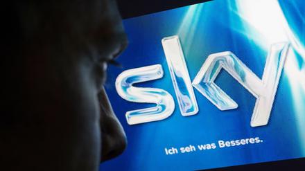Sky-Logo
