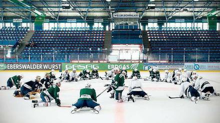 Dehnen für die Sehnen. Die Eisbären starteten ihre Saisonvorbereitung in diesem Jahr eine Woche früher. Am Montag ging es für die Spieler im Wellblechpalast erstmals aufs Eis.