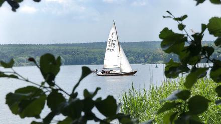 Am Wind. Zugegeben, auf dieser Radtour ist man ständig verführt, ein Päuschen einzulegen. Aber an und auf der Havel ist es einfach zu schön. Etwa im Gutspark Kladow, wo man vom Café der Guthmannschen Villa aus einen herrlichen Blick auf die Segler hat. 