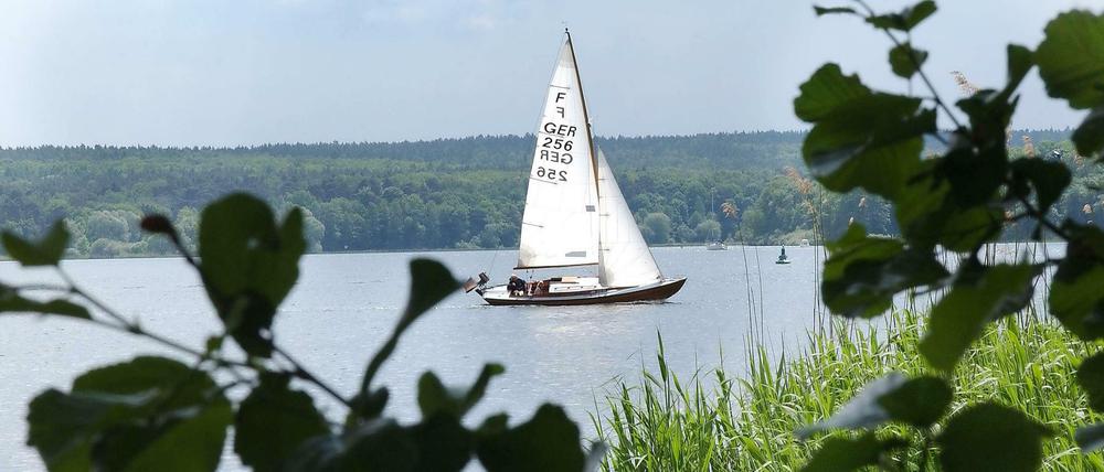 Am Wind. Zugegeben, auf dieser Radtour ist man ständig verführt, ein Päuschen einzulegen. Aber an und auf der Havel ist es einfach zu schön. Etwa im Gutspark Kladow, wo man vom Café der Guthmannschen Villa aus einen herrlichen Blick auf die Segler hat.