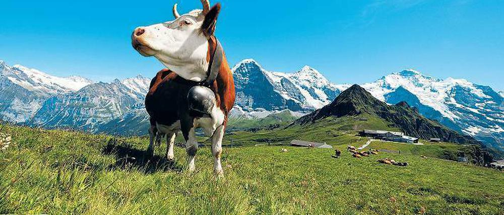 Bis zur See reicht der Blick von der Schweiz aus eher selten. 