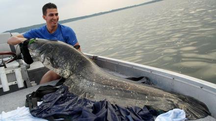 Ein Mann, ein Fisch. Leo Wirnshofer und sein Fang aus der Havel in Brandenburg.