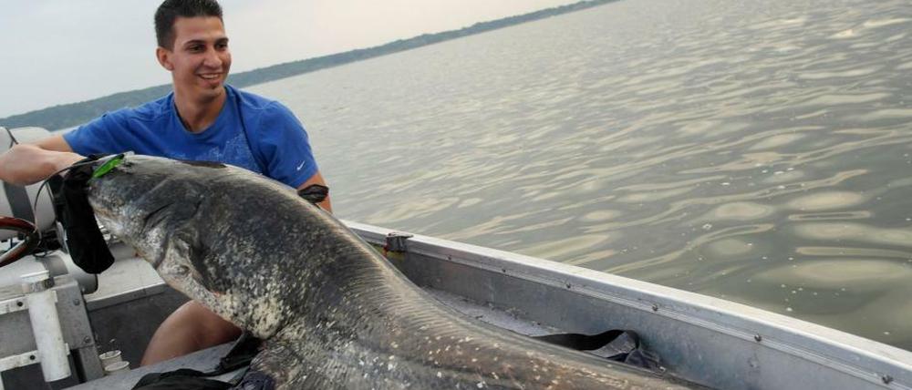 Ein Mann, ein Fisch. Leo Wirnshofer und sein Fang aus der Havel in Brandenburg.