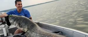 Ein Mann, ein Fisch. Leo Wirnshofer und sein Fang aus der Havel in Brandenburg.