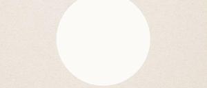 Ausschnitt aus dem Buchcover.