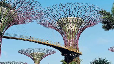 Gardens by the Bay. Der Botanische Garten der Superlative in Singapur zeigt nicht nur 130 000 Pflanzen, sondern auch gigantische Kunst.