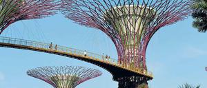 Gardens by the Bay. Der Botanische Garten der Superlative in Singapur zeigt nicht nur 130 000 Pflanzen, sondern auch gigantische Kunst.