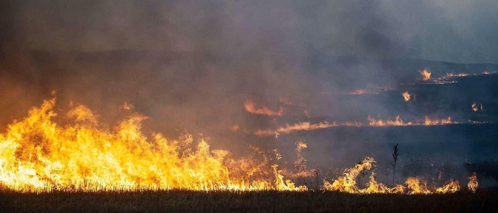 Brennendes Feld in der Nähe der umkämpften Stadt Donezk in der Ostukraine.