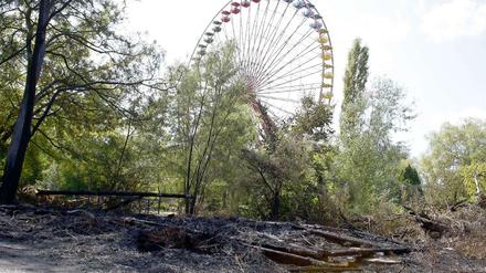 5000 Quadratmeter brannten in der Nacht auf Montag im Spreepark ab. Die Brandstifter wurden noch am Montag geschnappt.