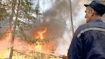 Folge der Hitze. 2010 wüteten in Russland viele Waldbrände. 