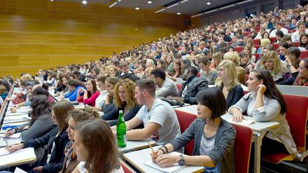 Der Bafög-Durchschnittssatz für Studierende beträgt 446 Euro.