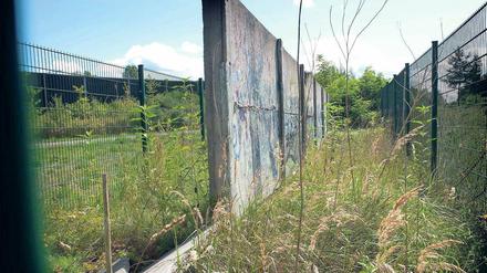 Hier bröselt ein vormals gefährliches Ungeheuer hinter Gittern vor sich hin: Mauerelemente der „Hinterlandsicherung“ und wuchernde Vegetation im Landschaftspark Rudow-Altglienicke. 