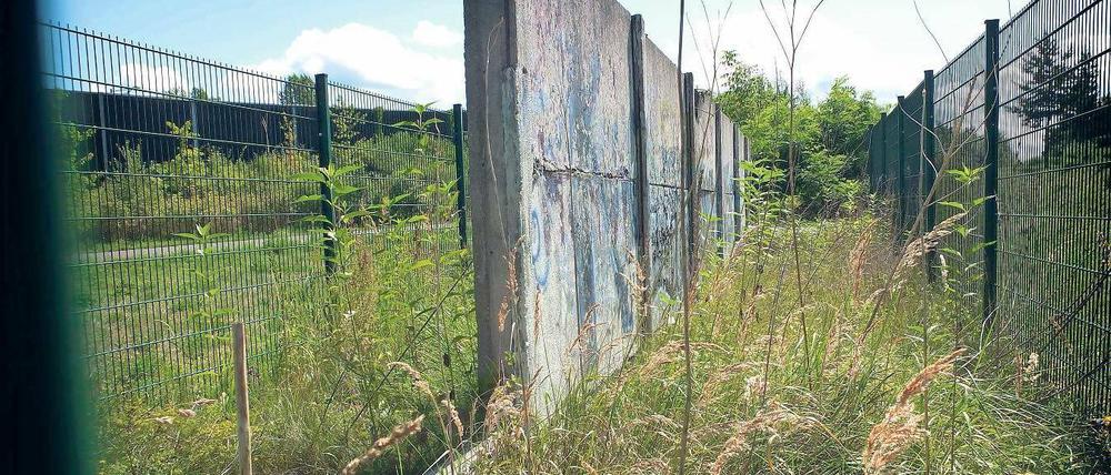Hier bröselt ein vormals gefährliches Ungeheuer hinter Gittern vor sich hin: Mauerelemente der „Hinterlandsicherung“ und wuchernde Vegetation im Landschaftspark Rudow-Altglienicke. 
