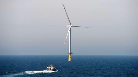 Dan Tusk heißt der Windpark, denn Vattenfall gemeinsam mit den Stadtwerken München bereits in der Nordsee baut. 