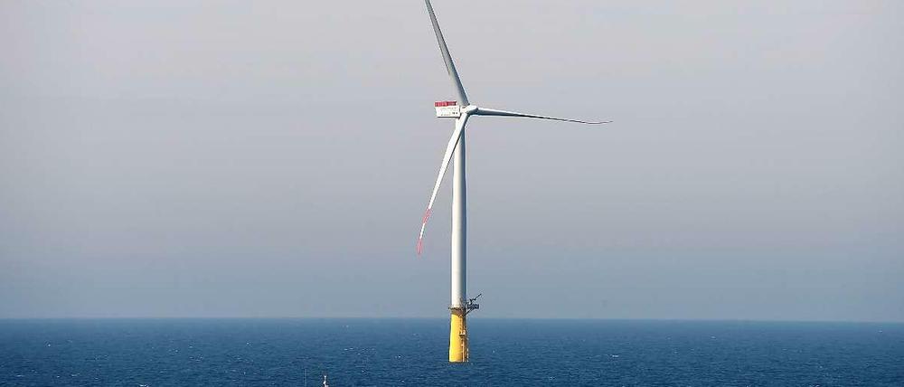 Dan Tusk heißt der Windpark, denn Vattenfall gemeinsam mit den Stadtwerken München bereits in der Nordsee baut. 
