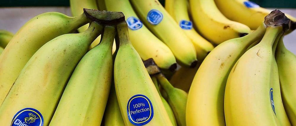 Der Bananengroßhändler Chiquita hat das Kaufangebot des des Orangensaftkonzerns Cutrale abgesagt.