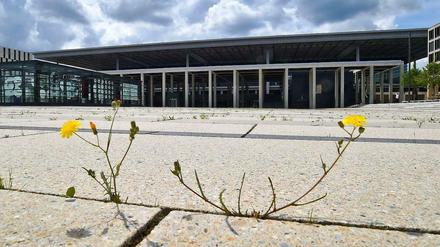 Da wächst schon Gras drüber. Das jahrelange Warten auf die Eröffnung des Flughafens hinterlässt Spuren.