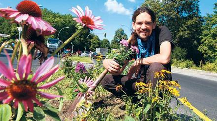 Gartenguerilla. Petrus Akkordeon aus Lichterfelde pflanzt seit Jahren Blumen auf der Verkehrsinsel an der Königsberger Straße.