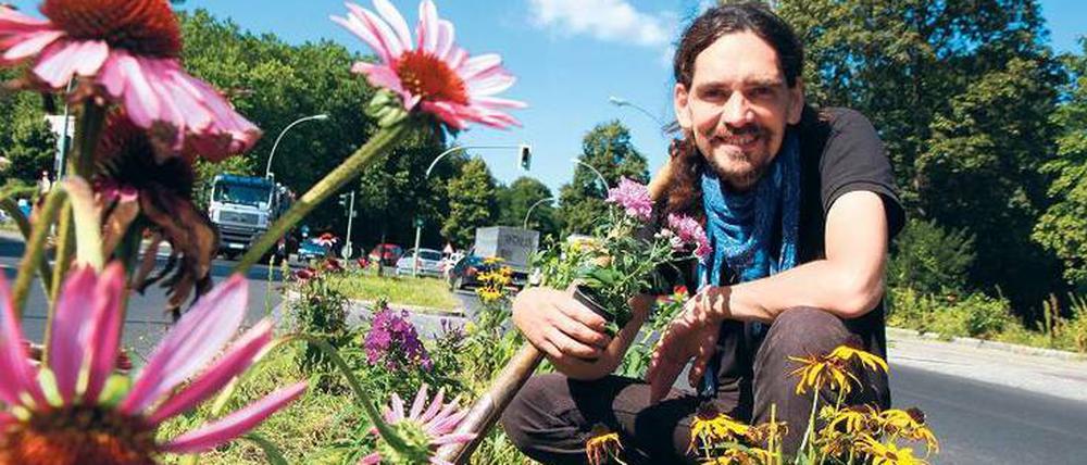 Gartenguerilla. Petrus Akkordeon aus Lichterfelde pflanzt seit Jahren Blumen auf der Verkehrsinsel an der Königsberger Straße. 