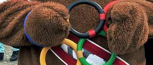 1,8 bis 2,2 Milliarden Euro könnten die Olympischen Spiele in Berlin kosten.