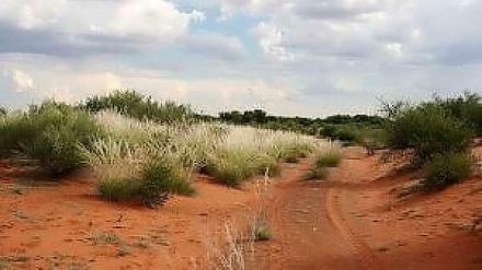 Parkplätze gibt es in der Kalahari tatsächlich noch mehr als in Malchow oder Staaken, allerdings etwas weniger Berliner.
