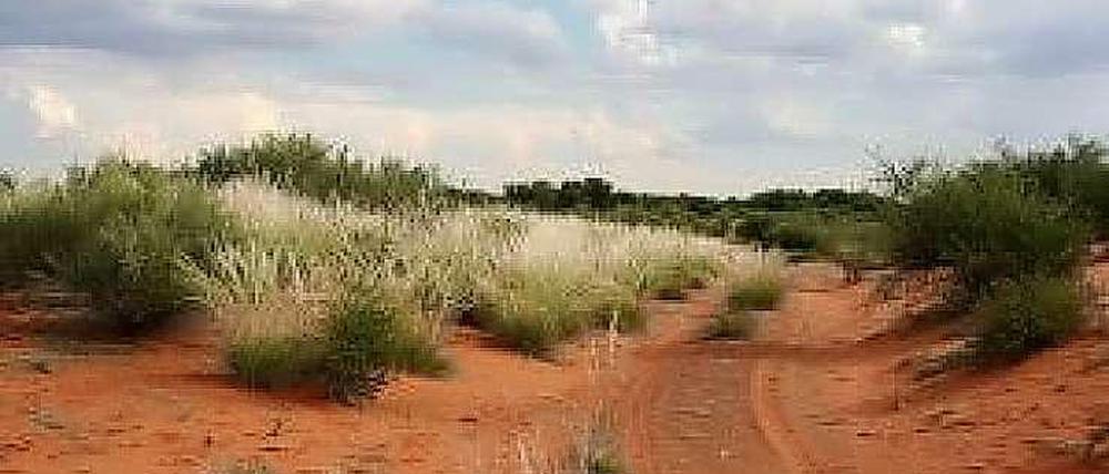 Parkplätze gibt es in der Kalahari tatsächlich noch mehr als in Malchow oder Staaken, allerdings etwas weniger Berliner.