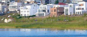 Schöner schnattern. Während am Hang Feng-Shui-Gärten angelegt werden, erobert sich die Natur den künstlichen See.