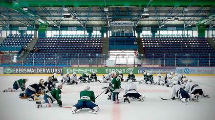 Vor dem Auftakt: alle Eisbären-Spieler sind für den CHL-Auftakt fit.