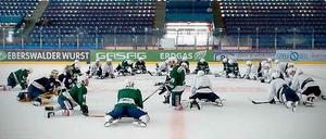Vor dem Auftakt: alle Eisbären-Spieler sind für den CHL-Auftakt fit.