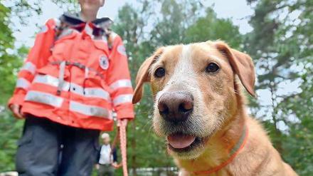 Einsatz in Finow. Rettungshund Capo hechelt eigentlich in Lörrach, jetzt rettet er Leben in Brandenburg.