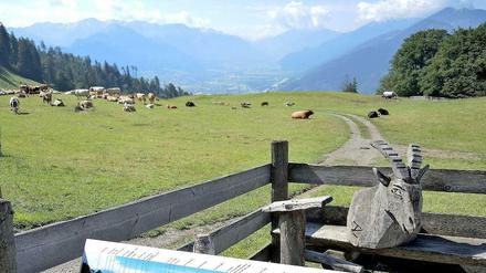 Die Schweizer Berge.