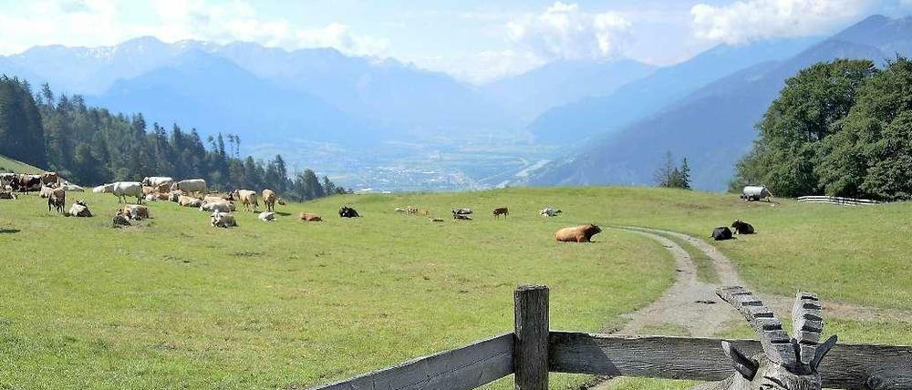 Die Schweizer Berge.