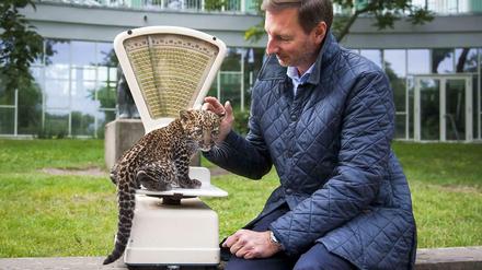 Süüüüß. Der kleine Pengali, das heißt Regenbogen, ist inzwischen schon rund 2800 Gramm schwer. Nach rund einem Jahr soll er in einen anderen Zoo zur Nachzucht abgegeben werden, sagt Zoo- und Tierpark-Direktor Andreas Knieriem.