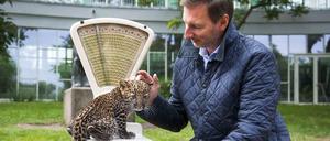 Süüüüß. Der kleine Pengali, das heißt Regenbogen, ist inzwischen schon rund 2800 Gramm schwer. Nach rund einem Jahr soll er in einen anderen Zoo zur Nachzucht abgegeben werden, sagt Zoo- und Tierpark-Direktor Andreas Knieriem.