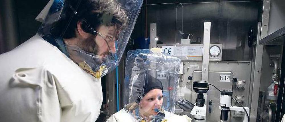 Mit größter Vorsicht. Tests auf Ebola und andere hochinfektiöse Erreger dürfen nur in Speziallaboren gemacht werden. Hier ein Archivbild aus dem Bernhard-Nocht-Institut für Tropenmedizin in Hamburg.