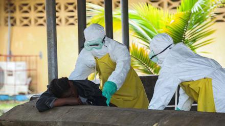 Zu wenig, zu spät. Helfer holen eine Ebola-Tote aus dem Wartebereich eines Krankenhauses in Liberias Hauptstadt Monrovia ab. Sie ist eine von 1350 Menschen in Westafrika, die bisher an dem Virus starben.