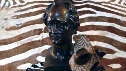 Hans-Peter Litschers Performance "Goethes Zebra"