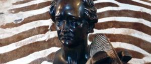 Hans-Peter Litschers Performance "Goethes Zebra"