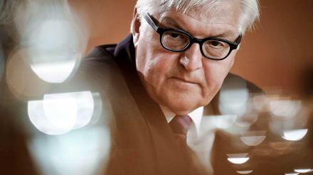 Außenminister Frank-Walter Steinmeier.