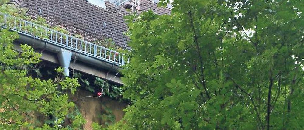 Aus der Zeit gefallen. Vor gut 100 Jahren wurde die Anlage gebaut. Später nutzte die Rote Armee sie als Krankenhaus, seit 20 Jahren verfällt das Areal. 