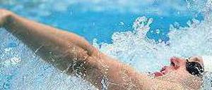Eine Schwimmbrille ist noch kein Doppelauge: Dieses Exemplar der Spezies Rückenschwimmer, Abteilung Primaten, ist dem stechenden Insekt, das ebenfalls Rückenschwimmer heißt, in puncto Orientierung unterlegen.