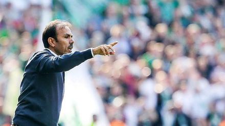 Immer voll dabei. Trainer Jos Luhukay.