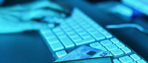 Die Zahl der Internetnutzer, die Opfer von Sabotage oder Erpressung werden, steigt.