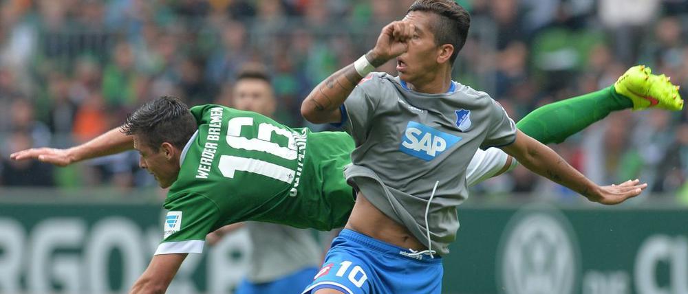 Keine Überflieger: Bremens Junuzovic (li.) im Zweikampf mit Hoffenheims Roberto Firmino.